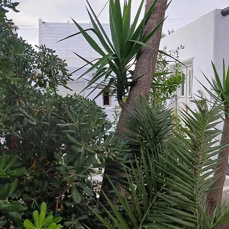 Cassaris Mykonos Feriehus *