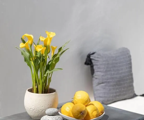 Cassaris Mykonos Tatil Evi Drafaki