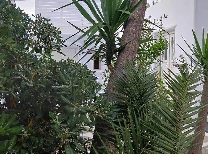 Cassaris Mykonos Tatil Evi *