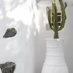 Cassaris Mykonos Drafaki
