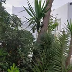 Cassaris Mykonos 別荘 *
