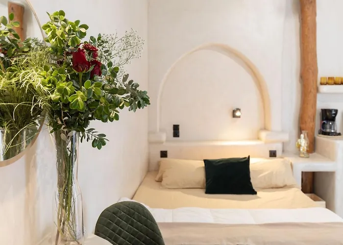 Cassaris Mykonos Σπίτι διακοπών *