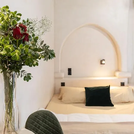 Cassaris Mykonos Ferienhaus *
