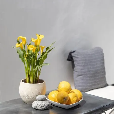 Cassaris Mykonos Дом отдыха Drafaki