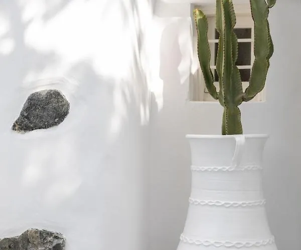 Cassaris Mykonos Δραφάκι